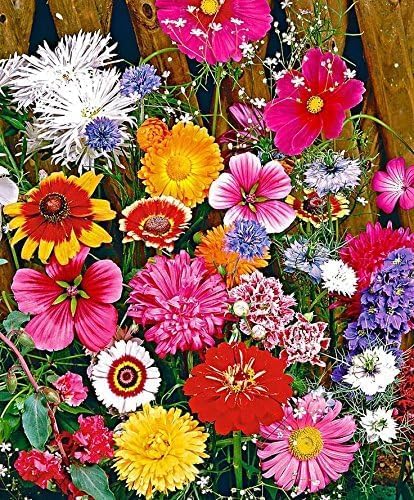 Dirt Goddess Super Seeds ~ Cut Flower Mix Seed (5 Lbs)