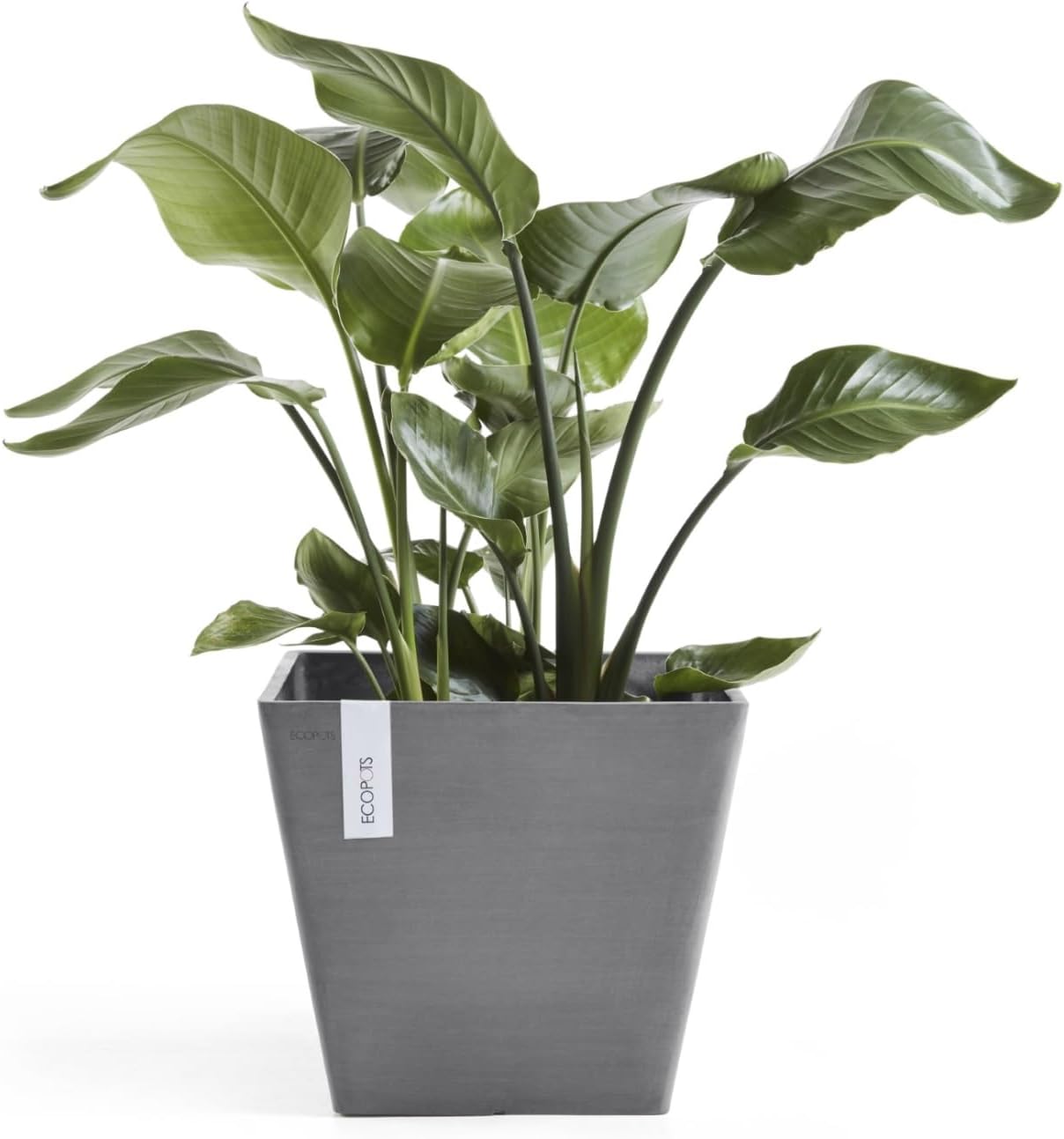 Ecopots Rotterdam Durable Modern Square Indoor/Outdoor Recycled-Based Composite Flower Planter, Grey, 15.75"