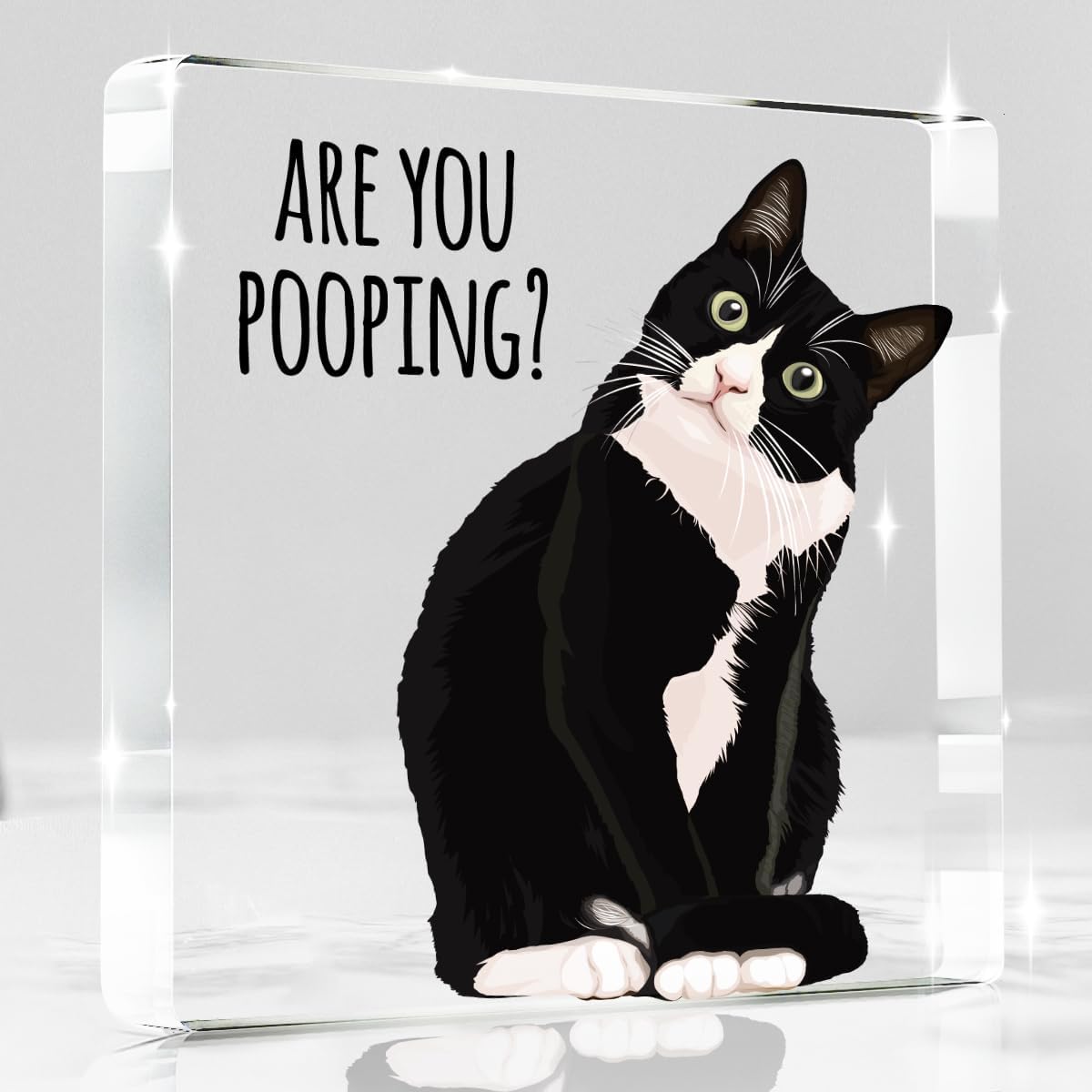 Are You Pooping Funny Sign，Black Cat Decor, Cat Bathroom Acrylic Decor，Home Decor Bathroom Creative Gift For Women Men，Funny Decorate Retro for Home Toilet