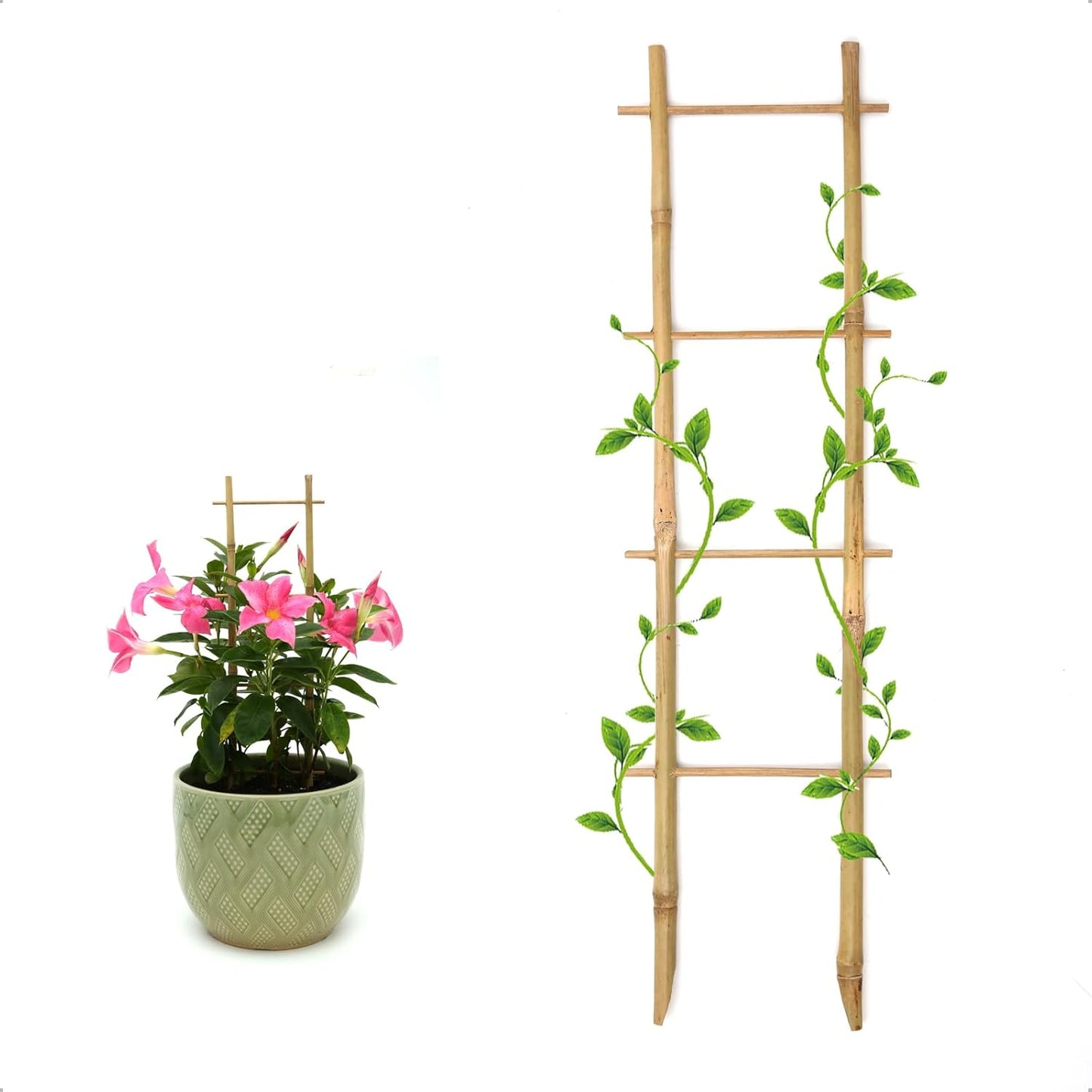 3Pack Bamboo Trellis 16 Inch Ladder Shaped Small Plant Trellis for Indoor Potted Plants Climbing Monstera Orchid Vine Hoya Houseplant