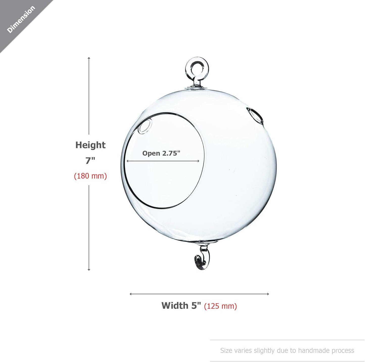 WGV Hanging Terrarium Globe, Width 5", Height 7", Double Hook, DIY Air Succulent Planter, Clear Glass Vase Orb, Candle Holder for Windowsill Outdoor Garden Decor, 1 Piece