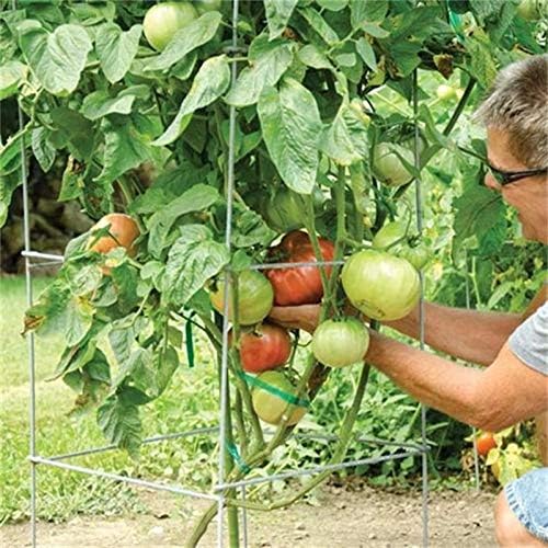 Galvanized Square Folding Tomato Cage Plant Support Stake Tower 12 inch by 46 inch, Pack of 5 Sets(