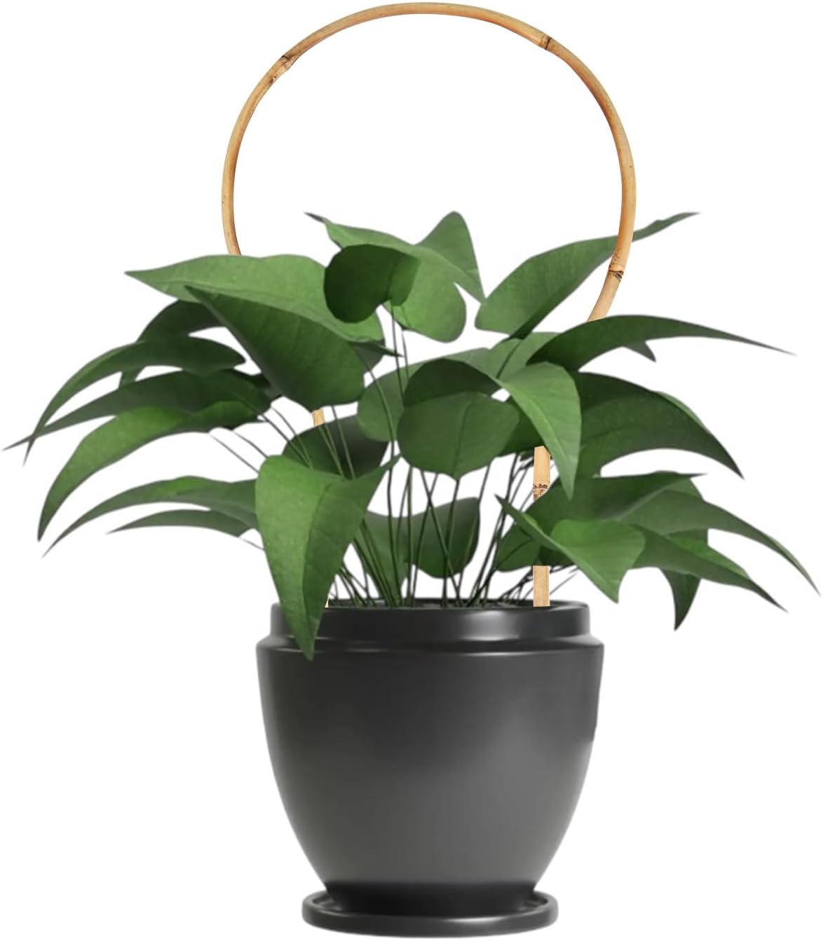 6 Pack Bamboo Trellis Round-Shaped for Potted Plant, 16 Inch Plant Support Stake for Climbing Vines, Decorative Hoop Stake for Potted Hoya