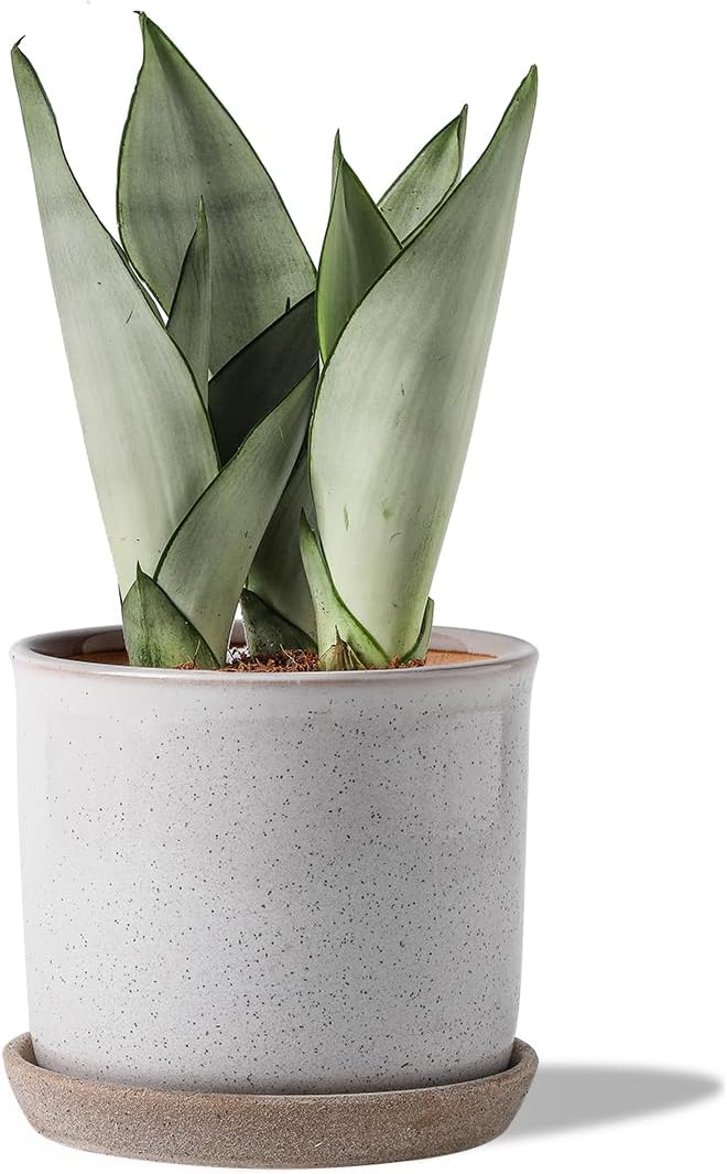 5.8 Inch Plant Pot: Ceramic Planter with Drainage Hole & Saucer - Cylinder Round Flowerpot for Indoor & Outdoor Plants - with Separate Tray for Home & Office - Retro Style, Grey