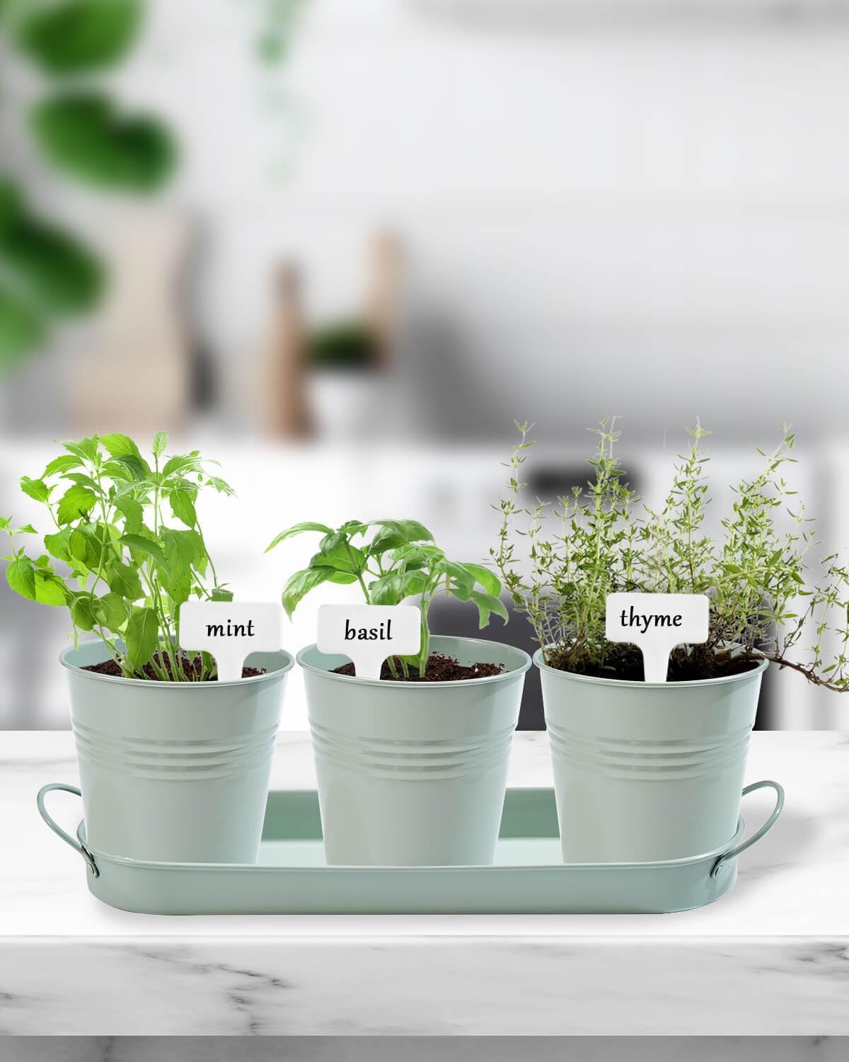 vensovo Indoor Herb Planter Set - Galvanized Windowsill Garden Pots with Tray & Drainage, Set of 3 Metal Window Planters for Kitchen & Outdoor Use, Light Green