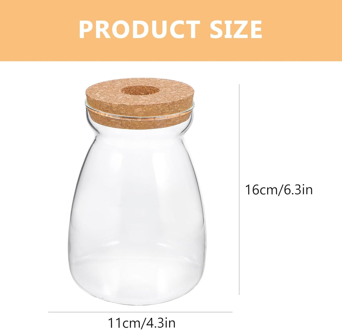 Glass Plant Jar -Plants Propagation Station - Micro Landscape Terrarium Container Desktop Plant Jar Hydroponic Vases Gardening for Plant Lovers(Size L)