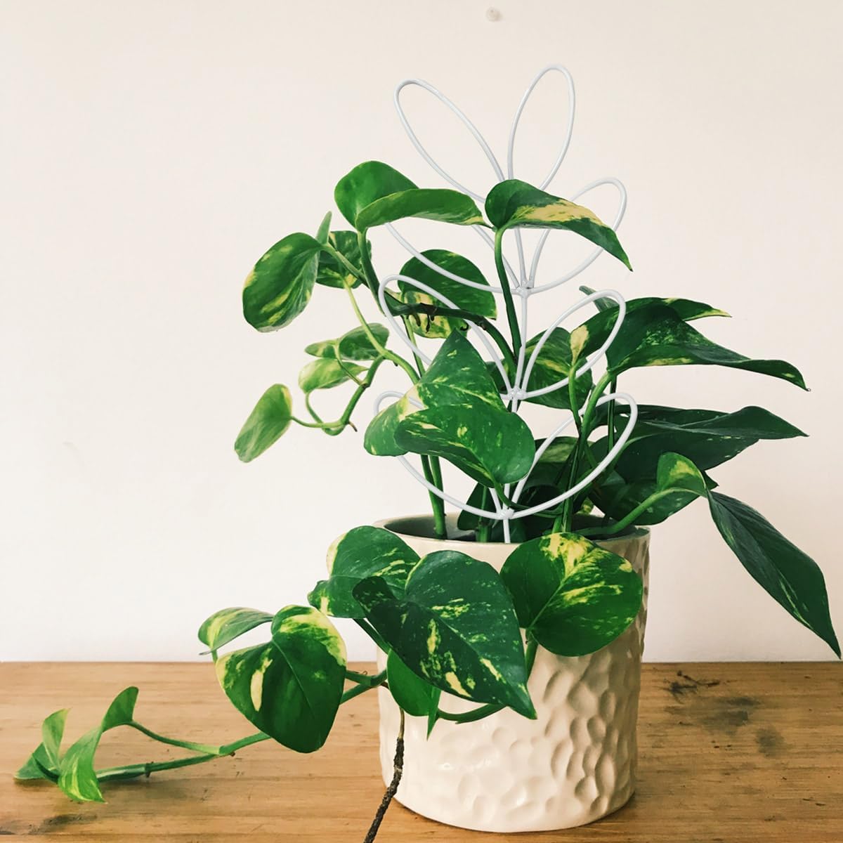 2Pack Indoor Plant Trellis Metal Wire Garden Trellis ，Small Climbing Leaf Shape Trellis for Garden Potted Plant Houseplant (Whiter)