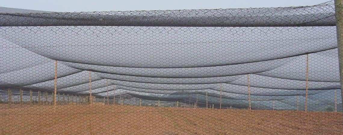 Poultry Netting 1" or 2" Mesh Heavy Knotted Nets Aviary Gamefowl Quail Chicken Bird Block Net Long Lasting Break/Burst 85/245 lb Polyethylene 8-10 Year Lifespan (6' X 150', 1)