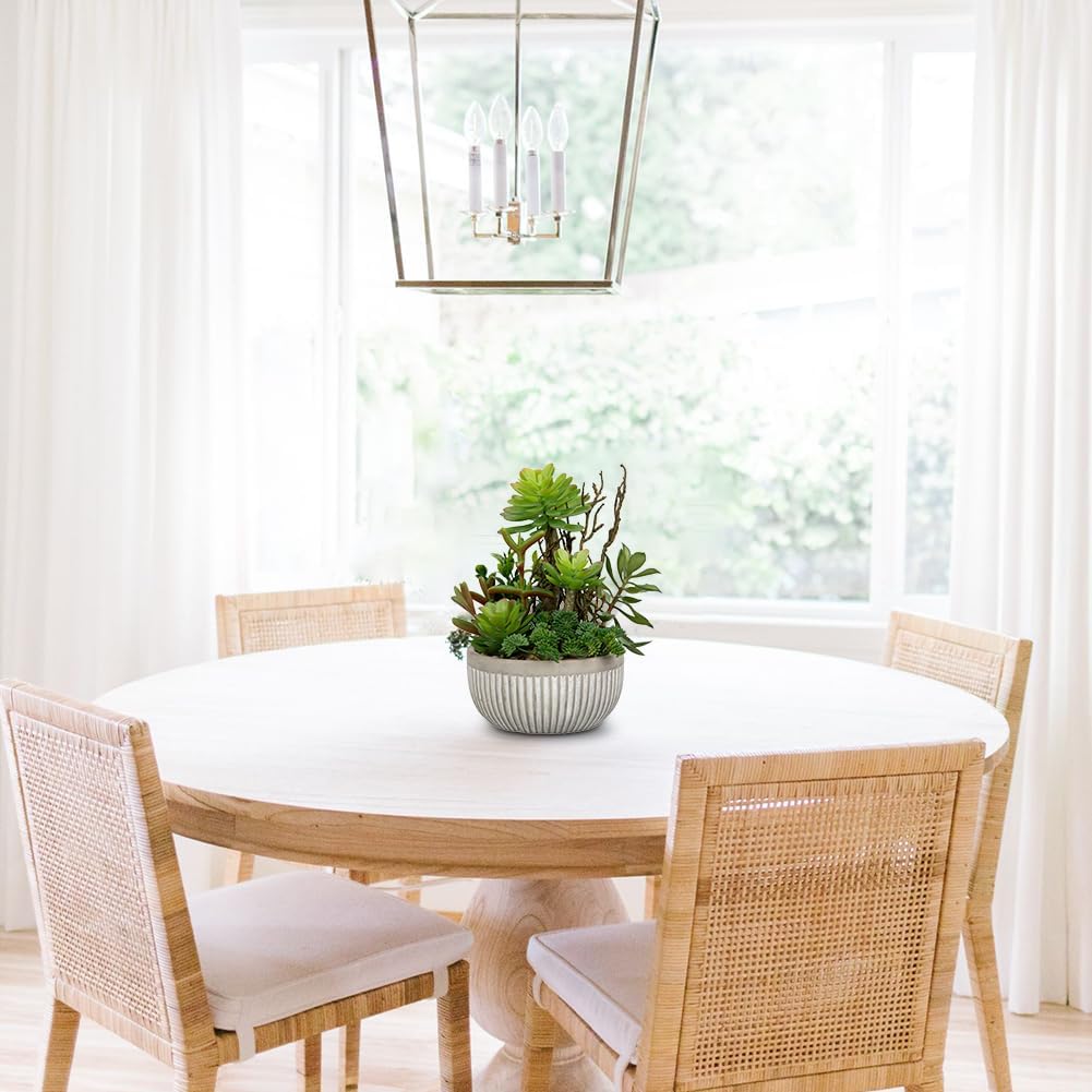 DILATATA Small Faux Plant Assorted Fake Succulents Plants Faux Succulents Arrangement Cement Potted Desk Plants Small Fake Plants for Home Table Office Bathroom Shelf Living Room Decor