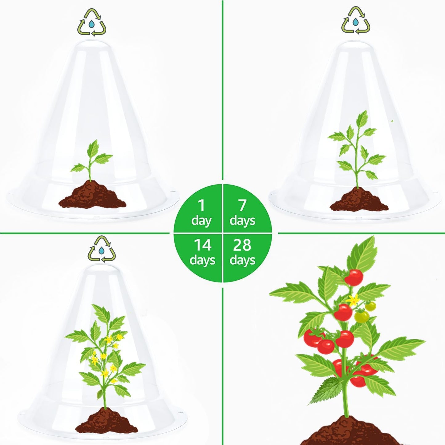 【30 Pieces】 Garden Cloches for Plants, Large Plant Covers Plant Protectors Clear Bell Jar Cloches to Protect Plants from Birds, Slugs, Frost, Freeze Weather, 10.6" D x 9.5" H, Transparent (30PCS(Big))