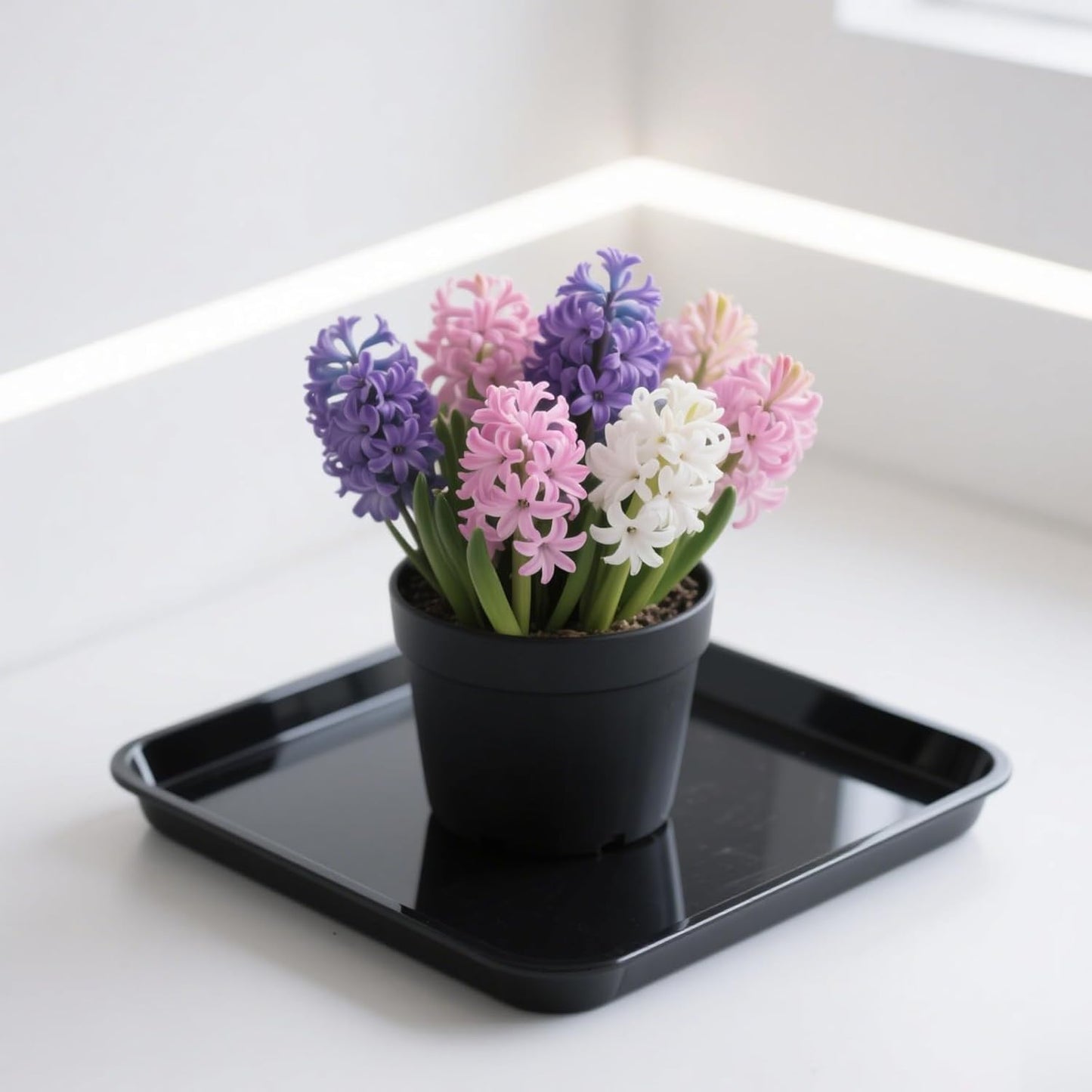 JOIKIT 15 PCS 11.4 x 11.4 x 1.5 Inch Square Plant Saucer, Plastic Plant Saucer Drip Tray, Square Flower Pot Tray for Indoors and Outdoor Plant Pots, Black