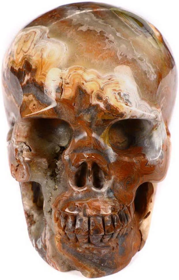Skullis 4.1" Red Crazy Lace Crystal Skull, Hand Carved Gemstone Fine Art Sculpture, Reiki Healing Stone Statue Z8