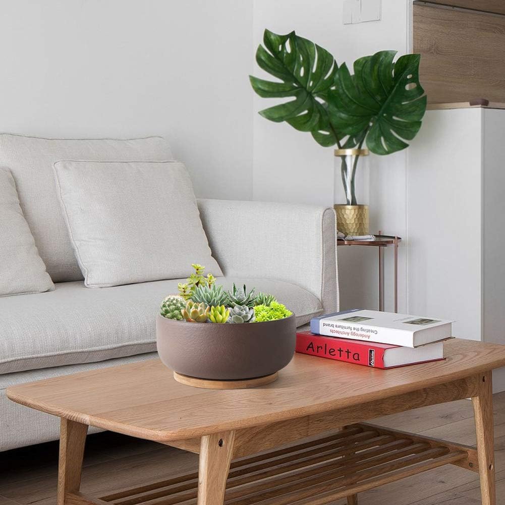 SQOWL Terracotta Bonsai Planter Pot for Succulent 8 Inch Pottery Round Planter Cactus Clay Flower Pot with Drain Hole and Bamboo Tray Indoor Outdoor