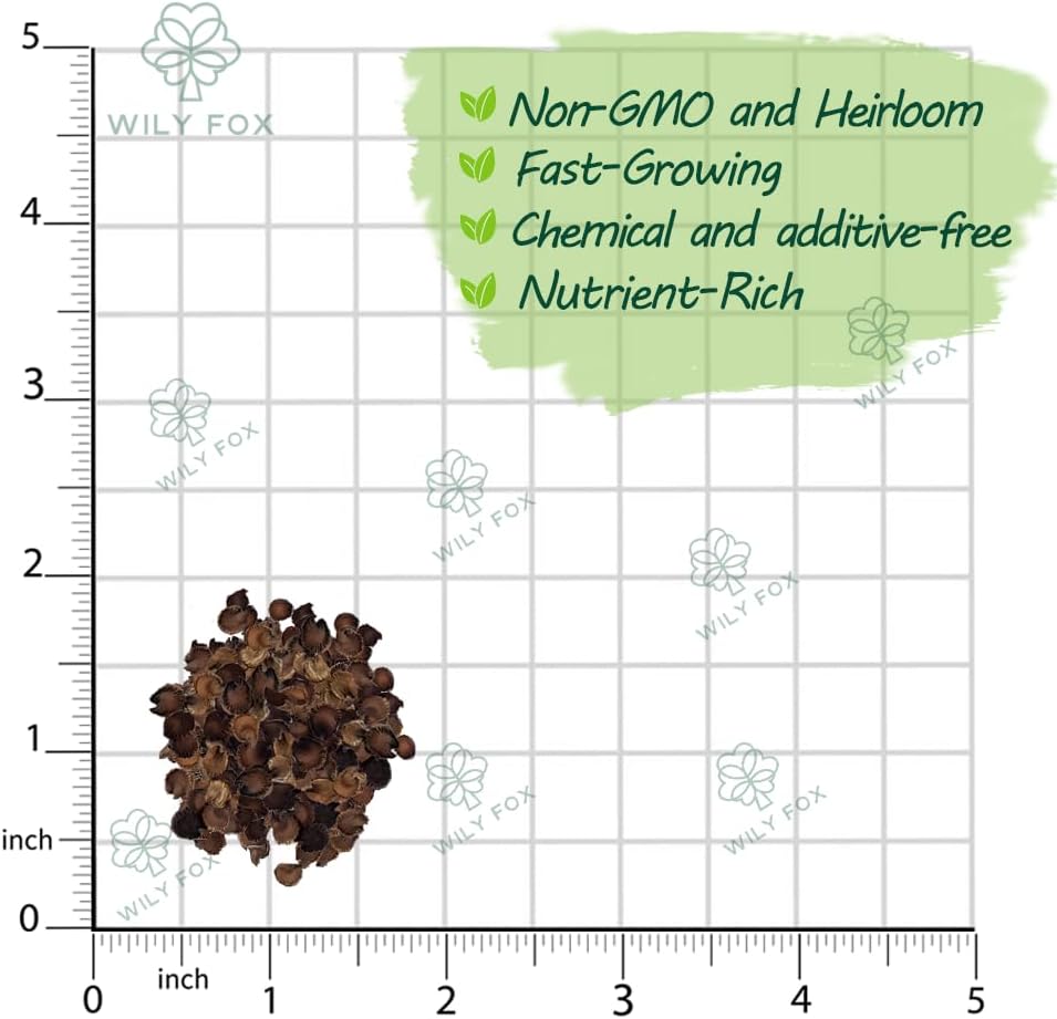 Premium Rare Hollyhock Seeds – 400+ Queeny Dwarf Hollyhock Flower Seeds – Non-GMO, Heirloom Perennial – Showy Blooms for Outdoor Planting (Queeny Hollyhock)