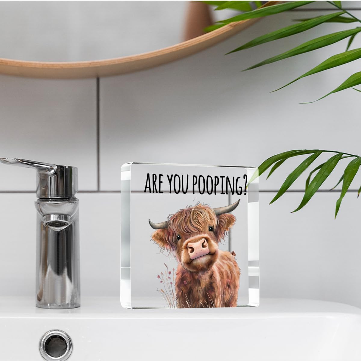 Highland Cow Bathroom Decor Gifts,Are You Pooping Funny Acrylic Sign Bathroom Decor for Western & Highland Cow Lovers Gifts for Coworker, Friends, Boss, Men, Women 4x4 Inch