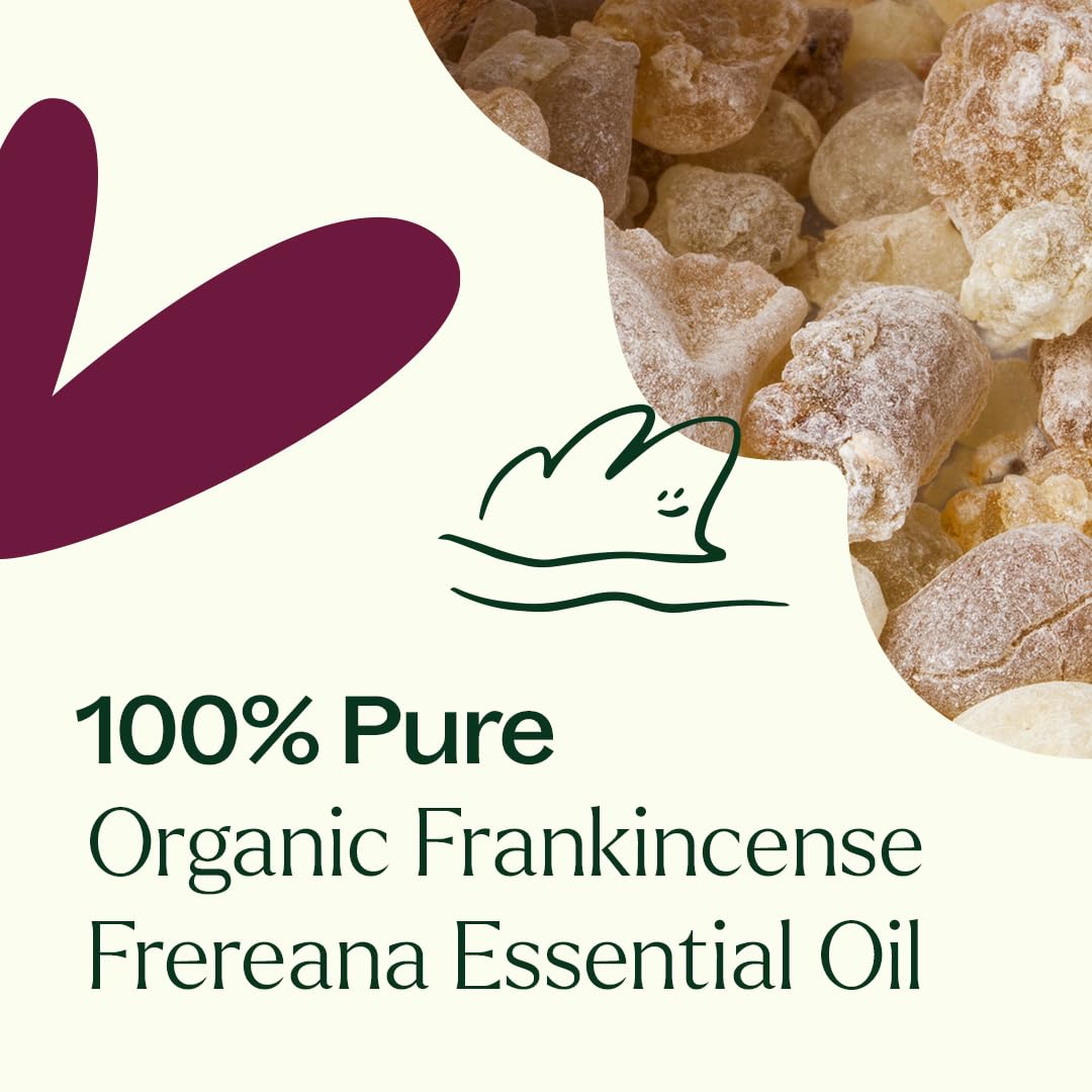Plant Therapy Organic Frankincense Frereana Essential Oil 100% Pure, USDA Certified Organic, Undiluted, Natural Aromatherapy, Therapeutic Grade 10 mL (1/3 oz)