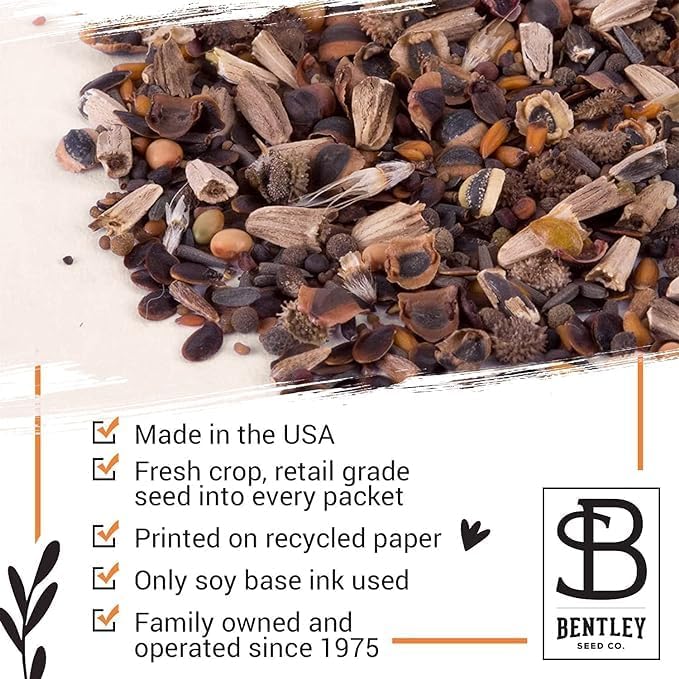 Bentley Earth Day 2025 Bee The Change - Pollinator Flower Mix Seed Packets (25 Packets)