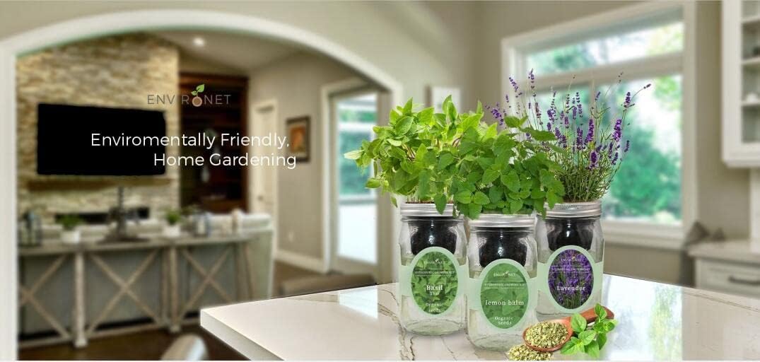 Hydroponic Herb Growing Kit, Self-Watering Mason Jar Window Herb Garden Starter Kit Indoor, Grow Your Own Herbs from Organic Seeds (Cilantro)
