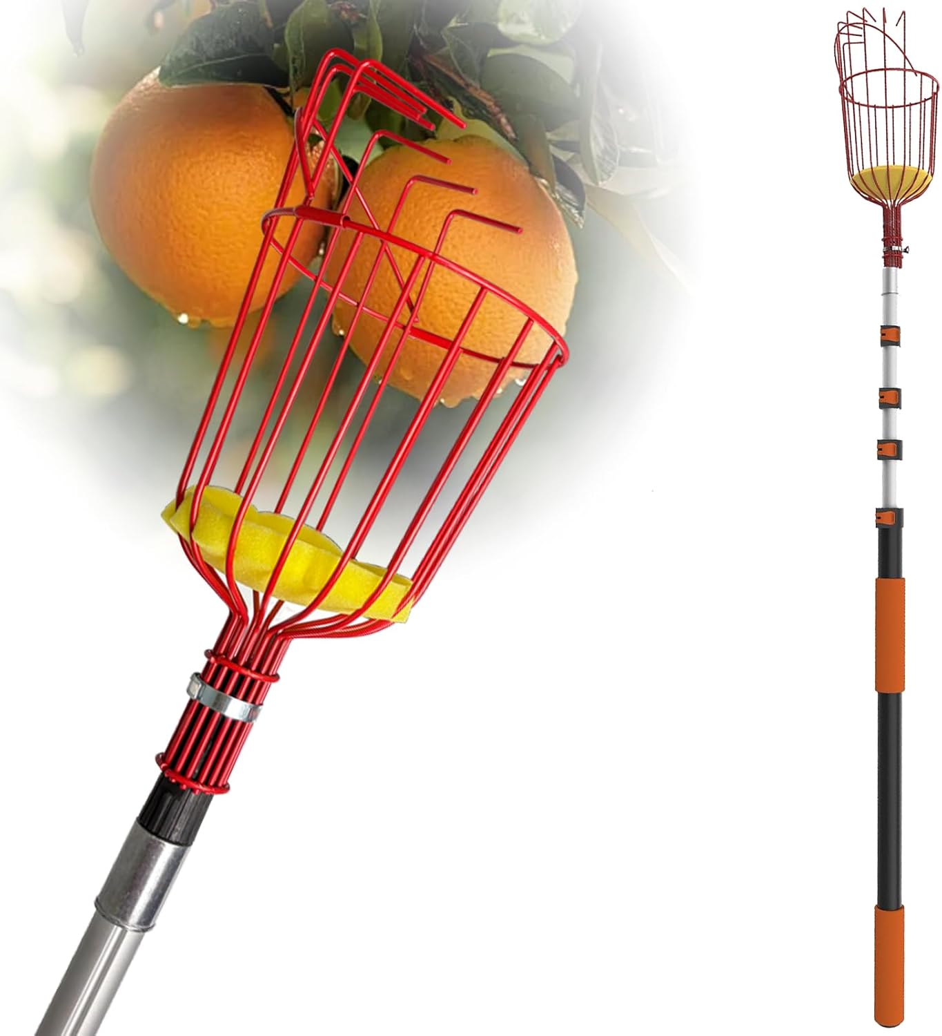26FT Reach Fruit Picker Pole, Telescopic Picking Pole with Gentle Grip Claw & Collapsible Basket, Adjustable Apple Picker Pole Tool for Avocado Orange Lemon Pear Mango