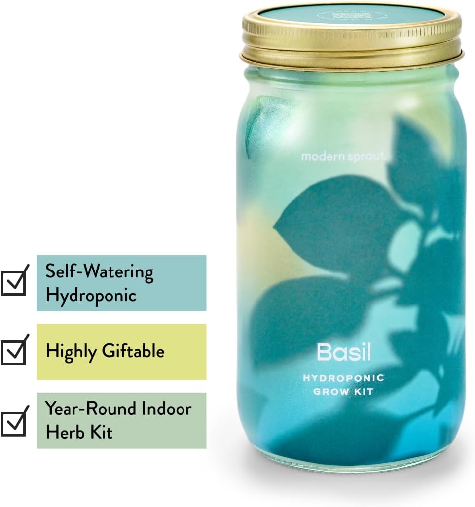Modern Sprout Mason Garden Jar - Self-Watering Hydroponics Growing System Kit with Organic Herb Seeds - Jar Planter for Indoor Herb Garden - Seed Starter Kit - Home Decor & Gifting - Basil+Parsley