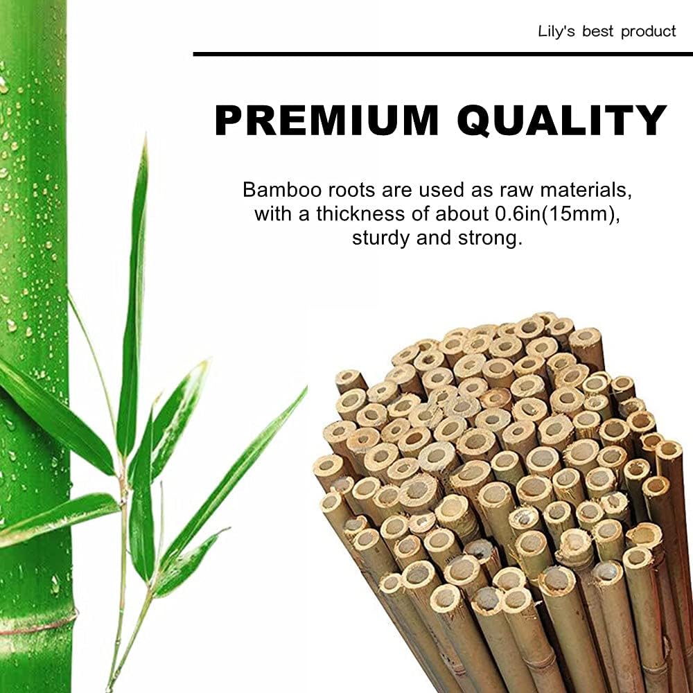 50 Pack 8ft Bamboo Plant Stakes for Wood Garden Sticks，Wooden Plant Supports，Bamboos，Bamboo Trellis，Crafts, More Size Choices 8"/12"/16"//2'/3'/4'/5'/6'/8'