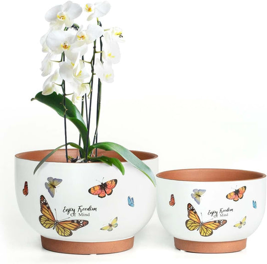 YBX 8 Inch + 6 Inch White&Terracotta Flower Pots, Succulent Ceramic Plant Pots with Drainage Holes, Terracotta Planters for Indoor Plants, with Butterfly Accents