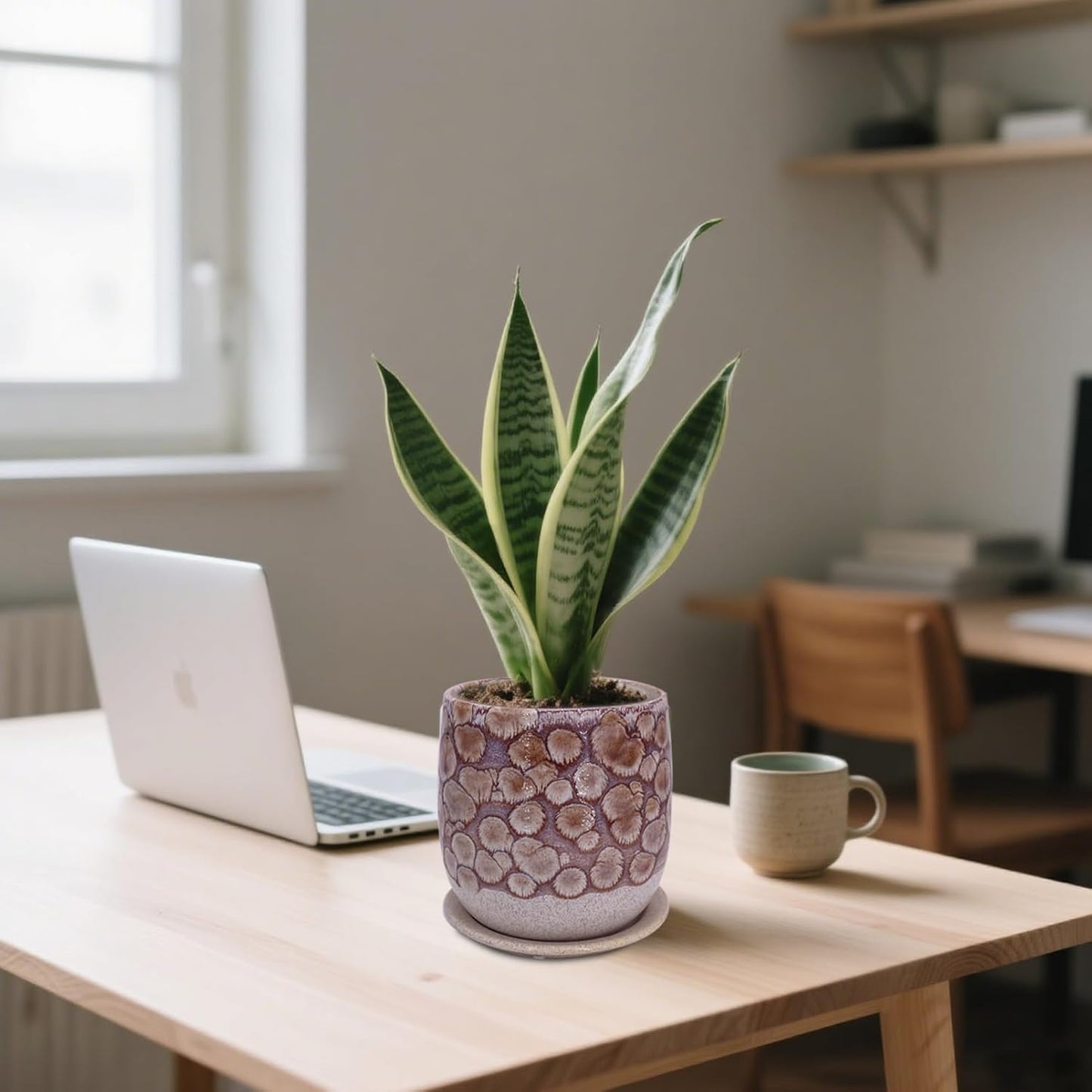 6 in Ceramic Plant Pot with Saucer，Indoor Plant Pot for Plants, Flower Pot with Drainage，Reactive Glaze Red
