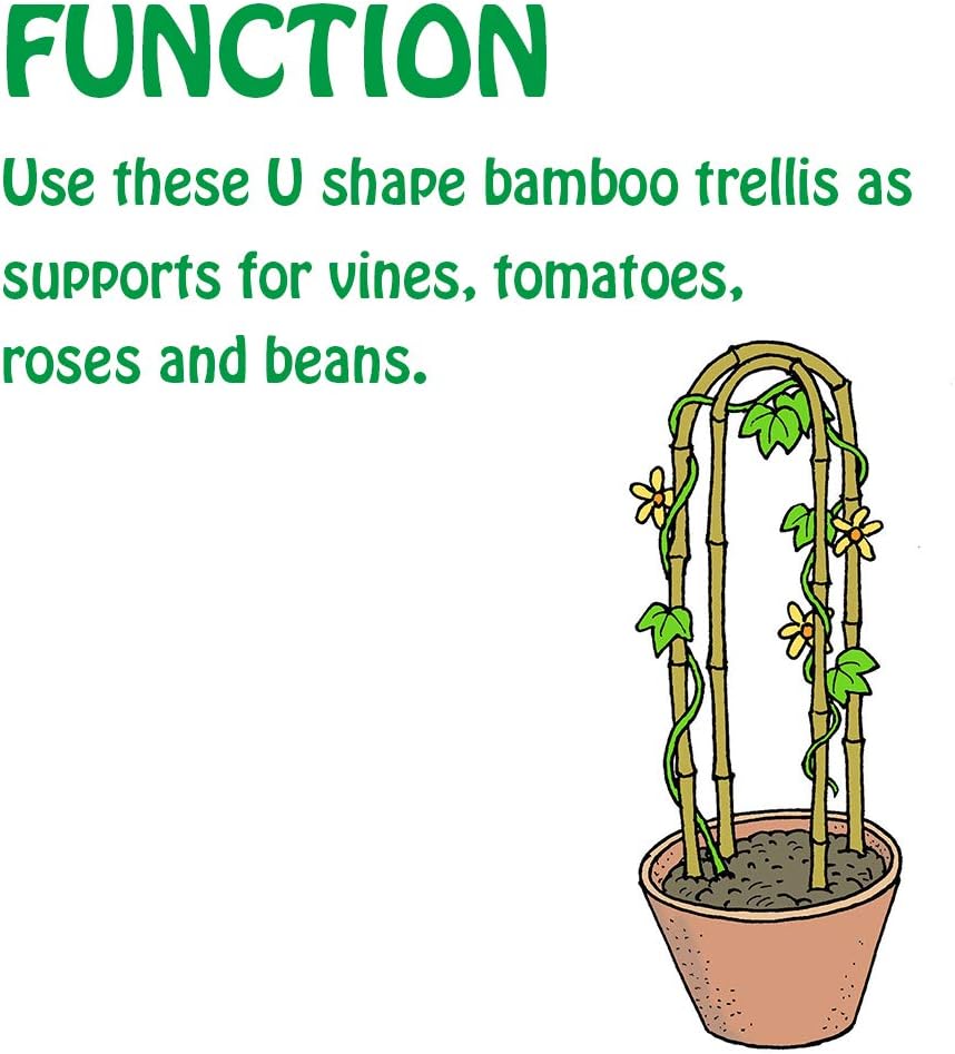 4 Feet Natural U-Hoops Bamboo, Mininfa Garden Trellis, Bamboo Trellis U-Shape for Plant Support - 3 Pack
