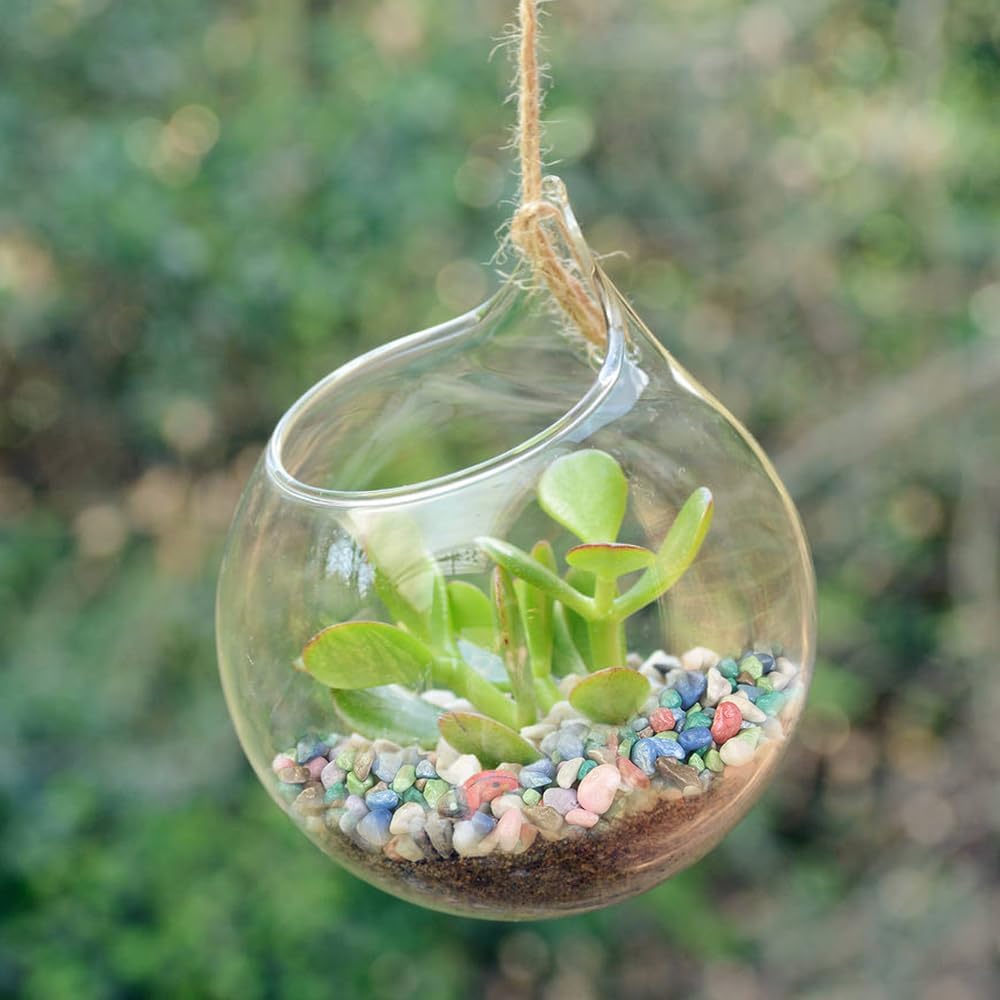 HappyFiller Colored Gravel,Indoor Plants Succulent Cactus Topper Dressing Pebbles,Polished Mini Stones 3-5mm for Aquarium Fish Tank,Fairy Garden Terrarium Decor,Vase Filler,Resin Arts Crafts,0.88 LB