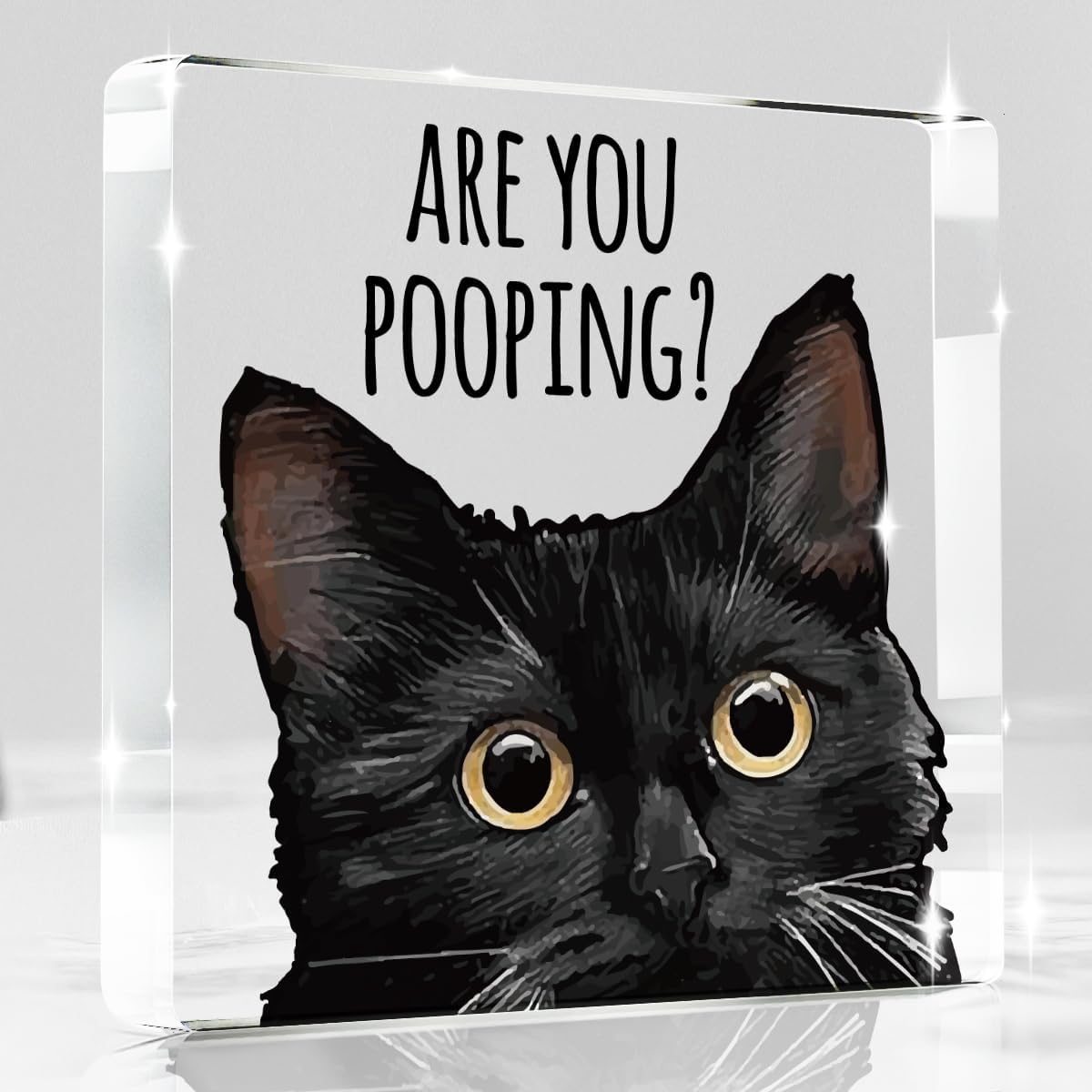 Are You Pooping Funny Sign，Black Cat Decor, Cat Bathroom Acrylic Decor，Home Decor Bathroom Creative Gift Cat Gifts for Women Cat Lovers，Funny Decorate Retro for Home Toilet