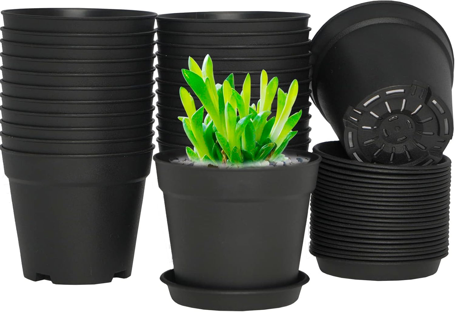 24 Pcs 4 Inch Plant Pots with Drainage Holes and Saucers for Indoor Plants, Plastic Small Flower Nursery Pots Seed Starting Pots for Plants Succulent, Black