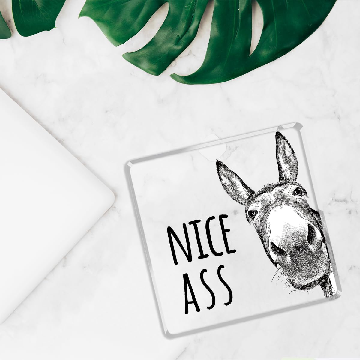Funny Donkey Animal Prints Toilet Room Decor - Nice Ass Quotes Bathroom Acrylic Sign,Funny Bathroom Decor for Toilet Restroom Washroom Donkey Accessories 4x4 Inch