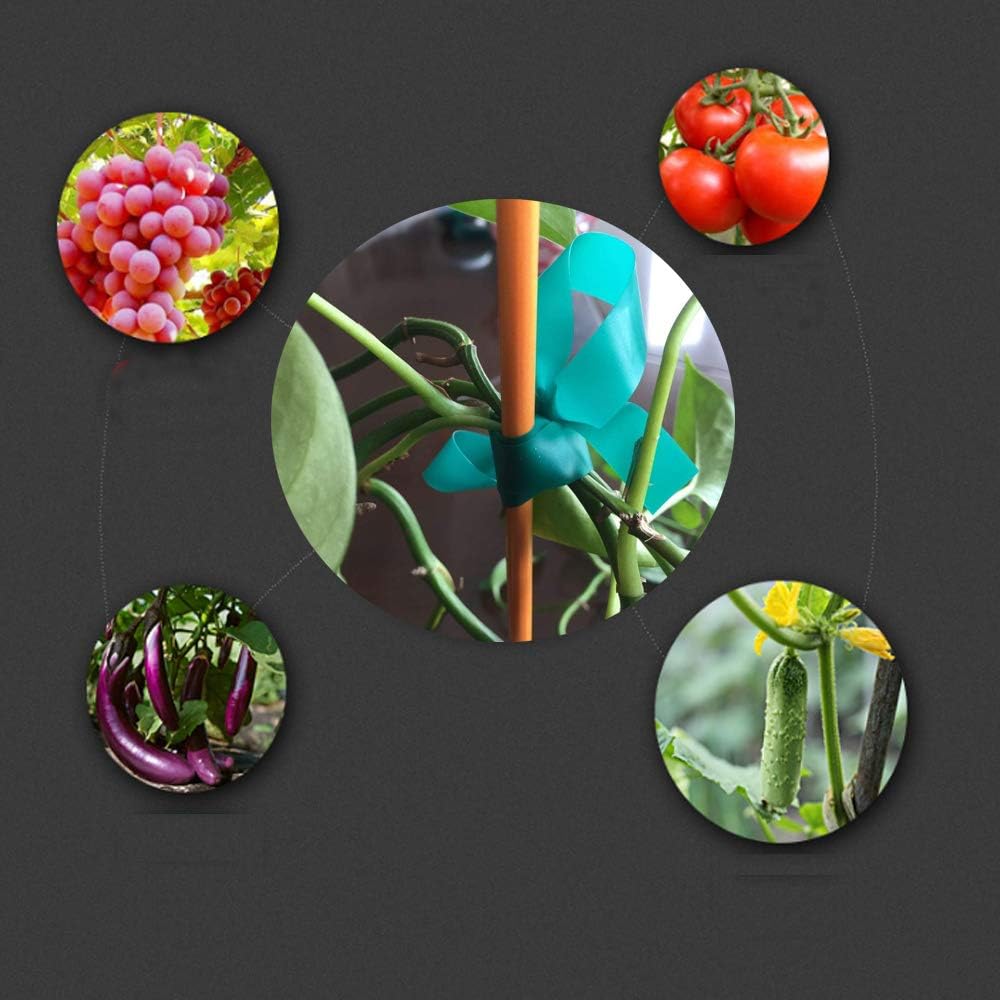 24 Rolls 150 Feet Stretch Tie Tape 0.5 Inch Garden Tie Tape Thick Plant Ribbon Garden Green Vinyl Stake for Indoor Outdoor Patio Plant Use