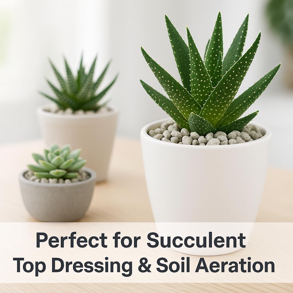 Horticultural Pumice for Plants, Natural Pumice Stone Soil Amendment, 3/8-1/4 inch, Made in USA (5 quarts - 4.5 lbs)