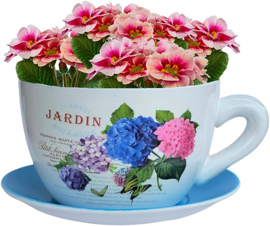 7.5" Ceramic Teacup Planter Pot with Saucer | Ideal for Succulents, Orchids, Herbs & Flowers | Indoor Use| Thoughtful Gift for Birthday, Gift Basket, Sympathy & More – Blue Hydrangea Jardin