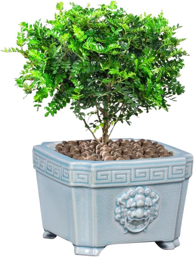 8-Inch Large Bonsai Pot Light Blue Water Bonsai Tree Ceramic Flower Pot Handmade