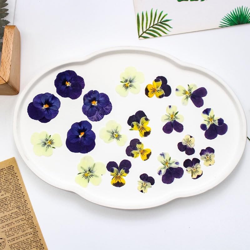 48Pcs 8 Kinds Natural Dried Pressed Edible Flowers for Cake Topper Decorating - Mix Viola Tricolor for Cocktails Cupcake Toppers, Resin DIY Art Jewelry Candle & Soap Making