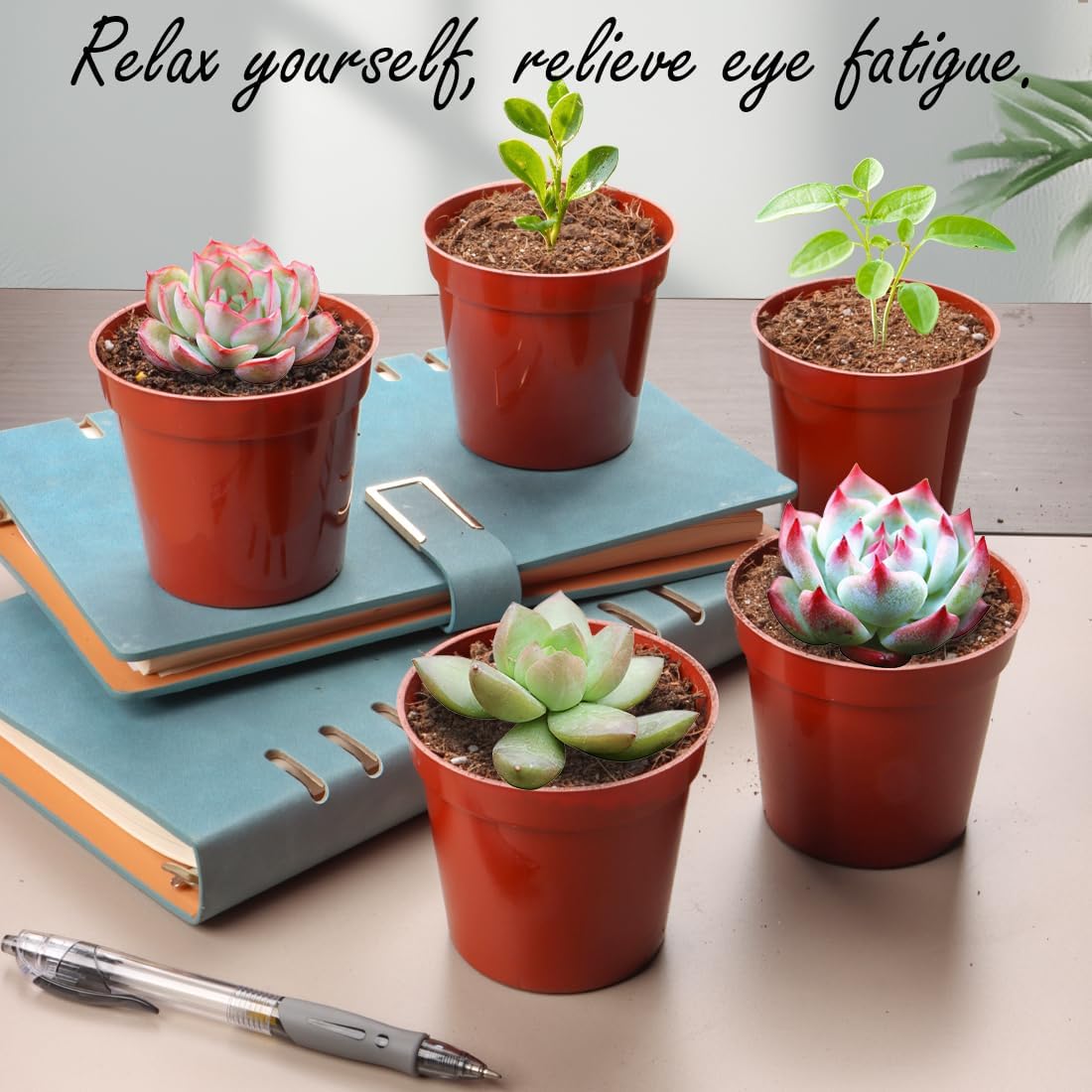 50 Pack 3.3 Inch Plastic Plant Nursery Pots, Seedling Pots with Drainage Holes, Seed Starting Pots, Small Plant Pot for Planting Flowers Indoor Outdoor, Red