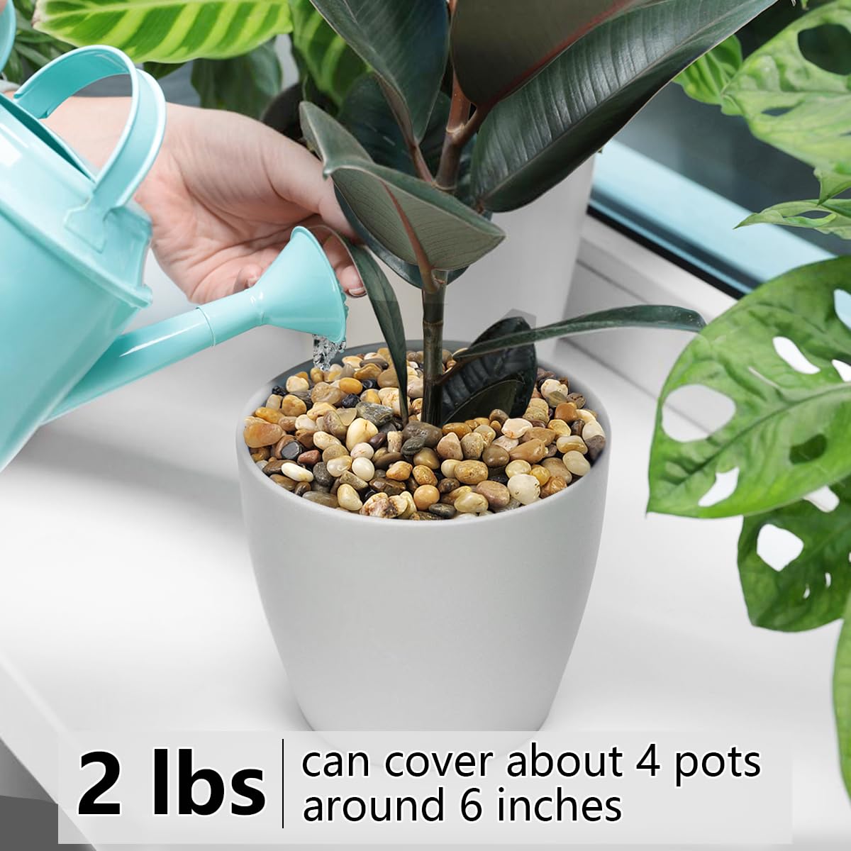 2LB Succulent and Cactus Gravel Pebbles, 3/8 Inch Decorative Polished Stones, River Rocks for Plants, Vases, Aquariums, Terrarium and Outdoor Gardening, Natural