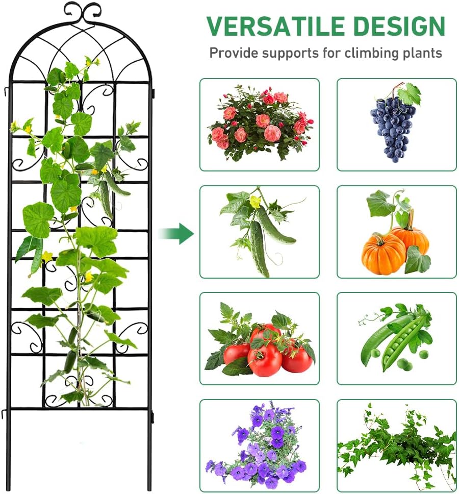 2 Pack 71x20in Garden Trellis, Black Metal Coating Rustproof Perfect for Supporting Climbing Plants Outdoor Roses, Vines, Flowers, and Vegetables