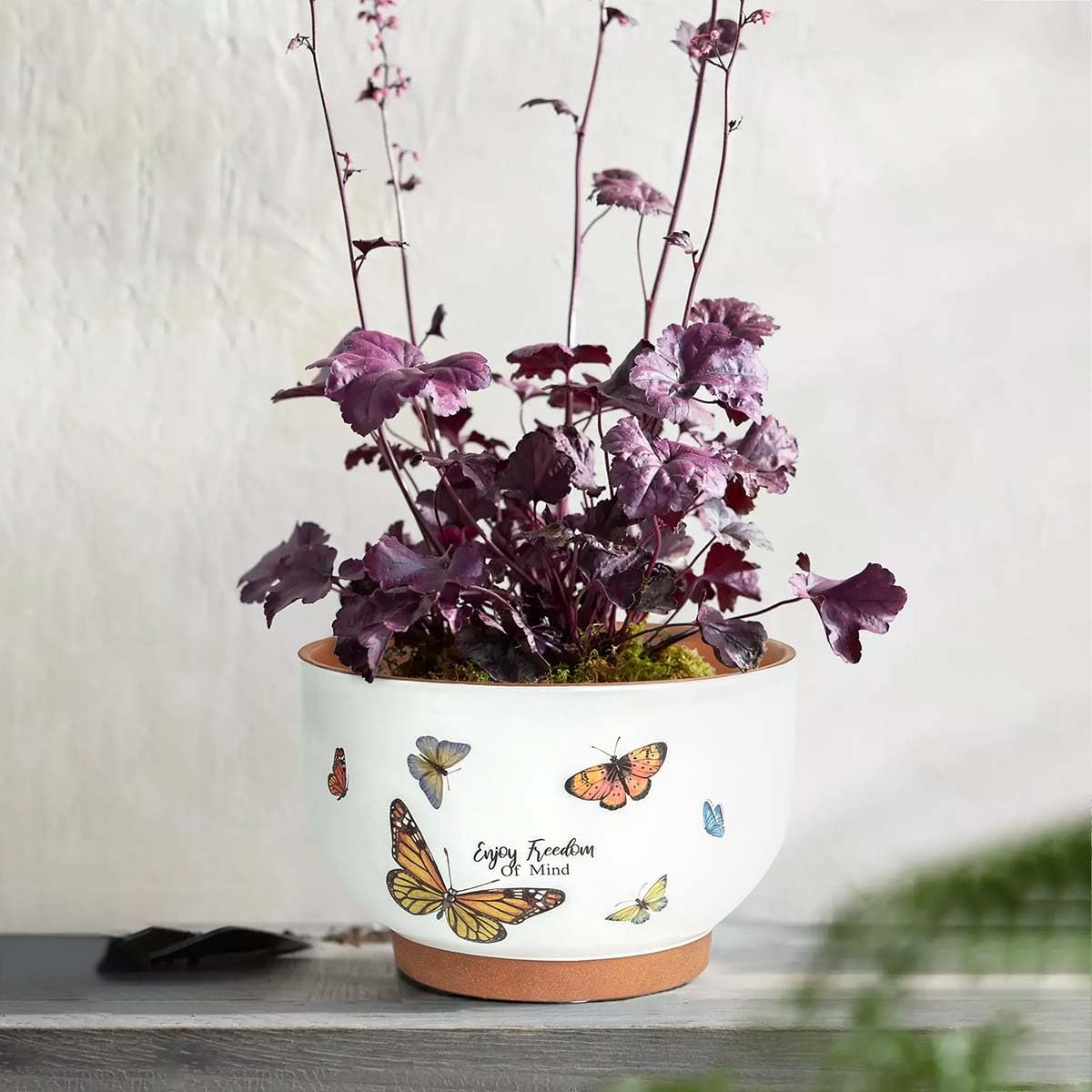 YBX 8 Inch + 6 Inch White&Terracotta Flower Pots, Succulent Ceramic Plant Pots with Drainage Holes, Terracotta Planters for Indoor Plants, with Butterfly Accents