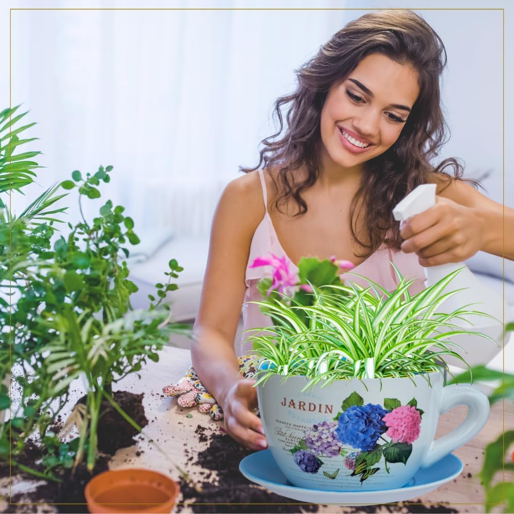 7.5" Ceramic Teacup Planter Pot with Saucer | Ideal for Succulents, Orchids, Herbs & Flowers | Indoor Use| Thoughtful Gift for Birthday, Gift Basket, Sympathy & More – Blue Hydrangea Jardin