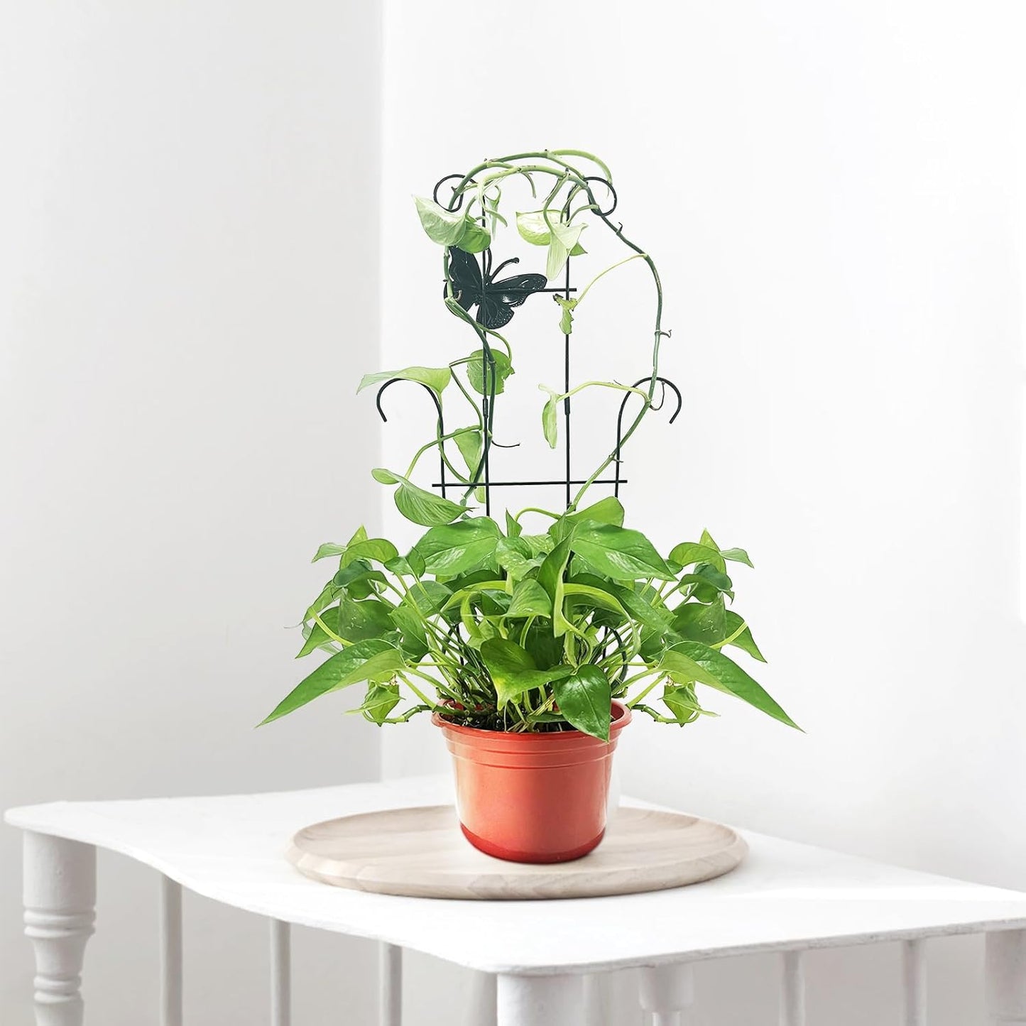 23 Inch Plant Trellis for Climbing Plants Indoor, Sturdy Metal Houseplant Trellis for Potted Plants, Rust-Resistant Plant Support for Monstera Pothos Ivy, Outdoor Garden Trellis 4 Pack