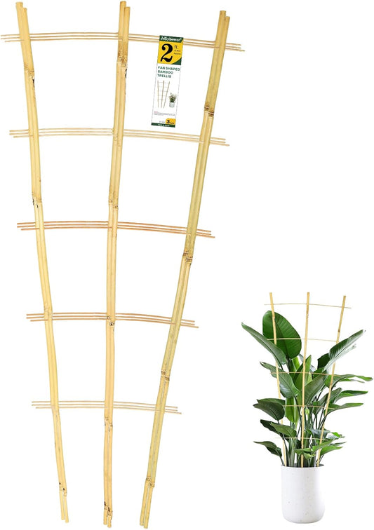 3PCS Fan-Shaped Bamboo Trellis, 2Ft Plant Trellis Indoor, Small Trellis for Potted Plants Indoor, Climbing Plants, Vegetables