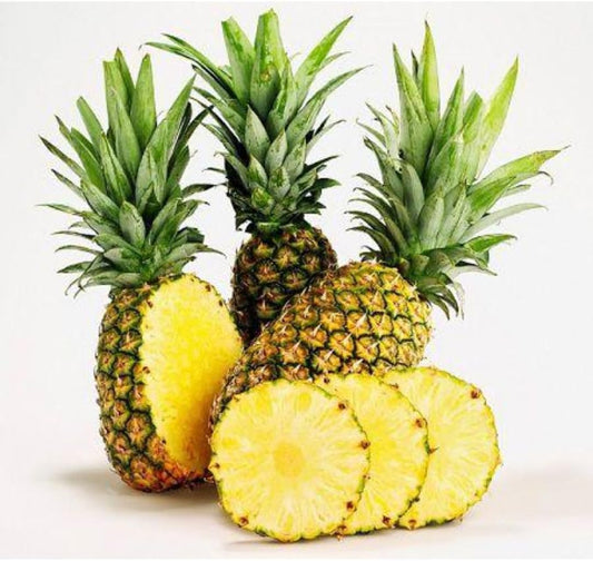 Pineapple Plant Live, Elite Gold Pineapple Tree Shrub Bush, Starter Plant 4-7 Inches Tall, Outdoor Growing, No Pot, Sweet Flavor
