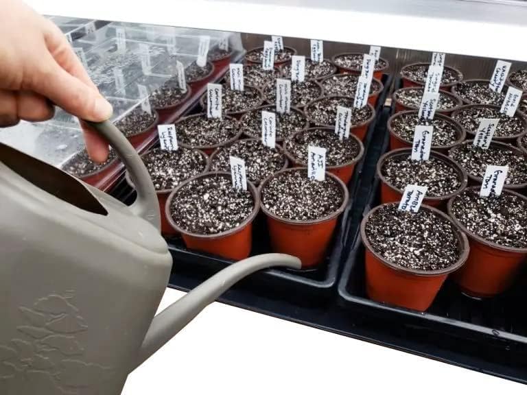 4 Inch Plastic Plant Labels for Seedlings, Flexible Waterproof Plant Tags, Vegetable Gardening Stake Tags for Potted Plants and Outdoor Garden, White, 1000 Pcs