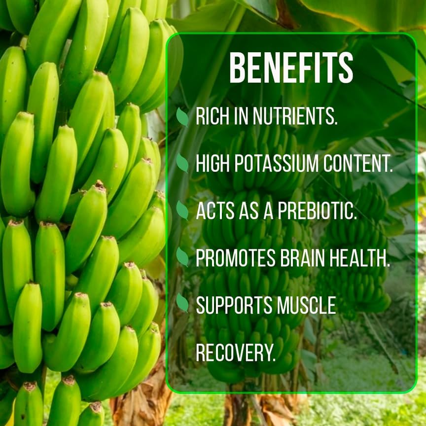 Banana Tree Dwarf Cavendish (4 Pack) Live Banana Plant for Sale | Easy to Grow Plants | Edible Fruit Plant. | Grow Your own Food on Your Edible Organic Garden|Live for Planting|