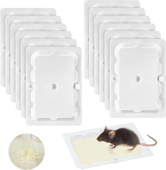 Qualirey 12 Pack Mouse and Insect Glue Traps, Strong Sticky Mice Traps Indoor for Home, Pre Scented Rodent Pads with Non Toxic Glue for House Garage, Ready to Use, Safe to Children and Pets (White)