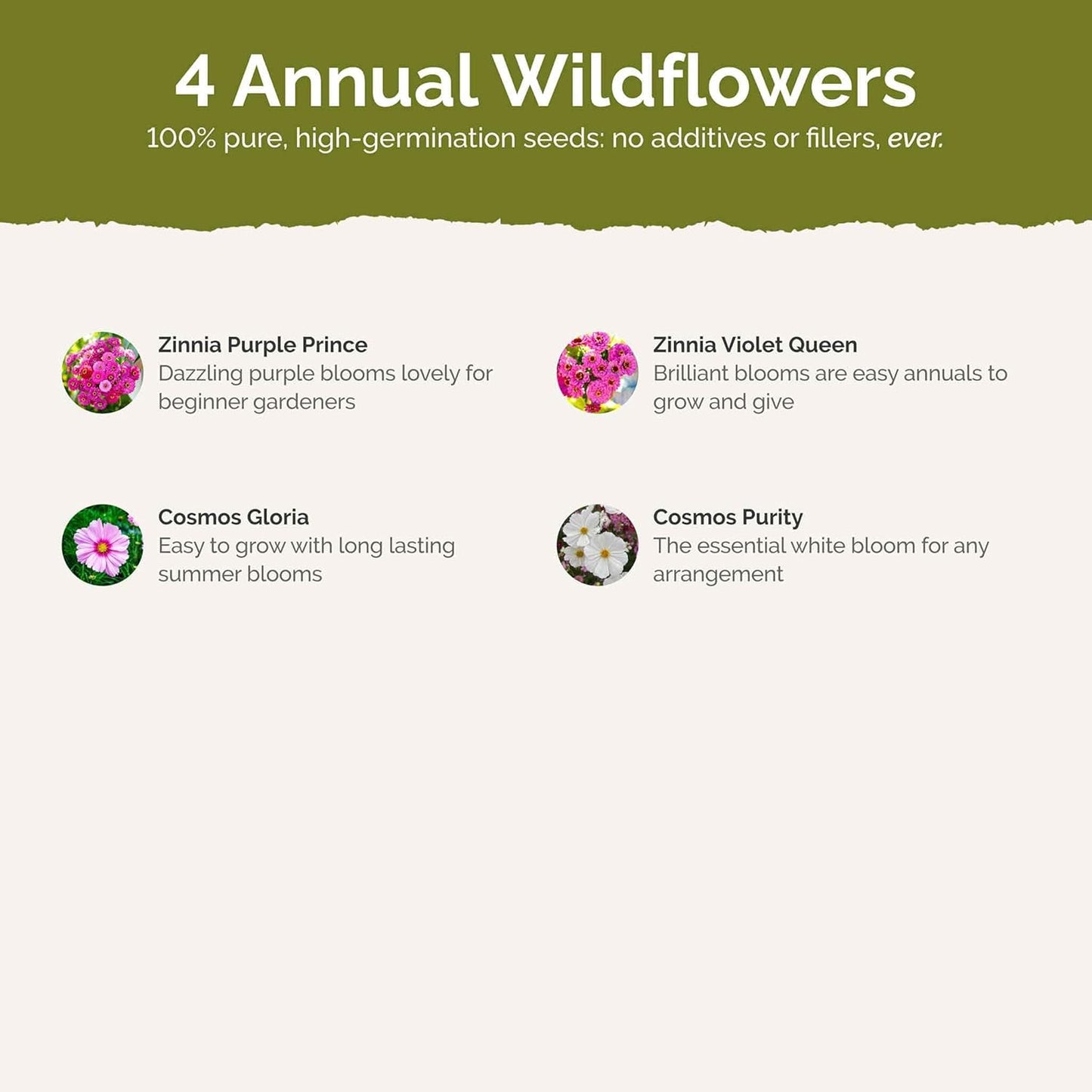 Eden Brothers Purple Rain Flower Mixed Seeds for Planting, 1/4 lb, 120,000+ Seeds with Zinnia Purple Prince & Violet Queen, Cosmos, Attracts Pollinators, Plant in Spring, Zones 3, 4, 5, 6, 7, 8, 9, 10