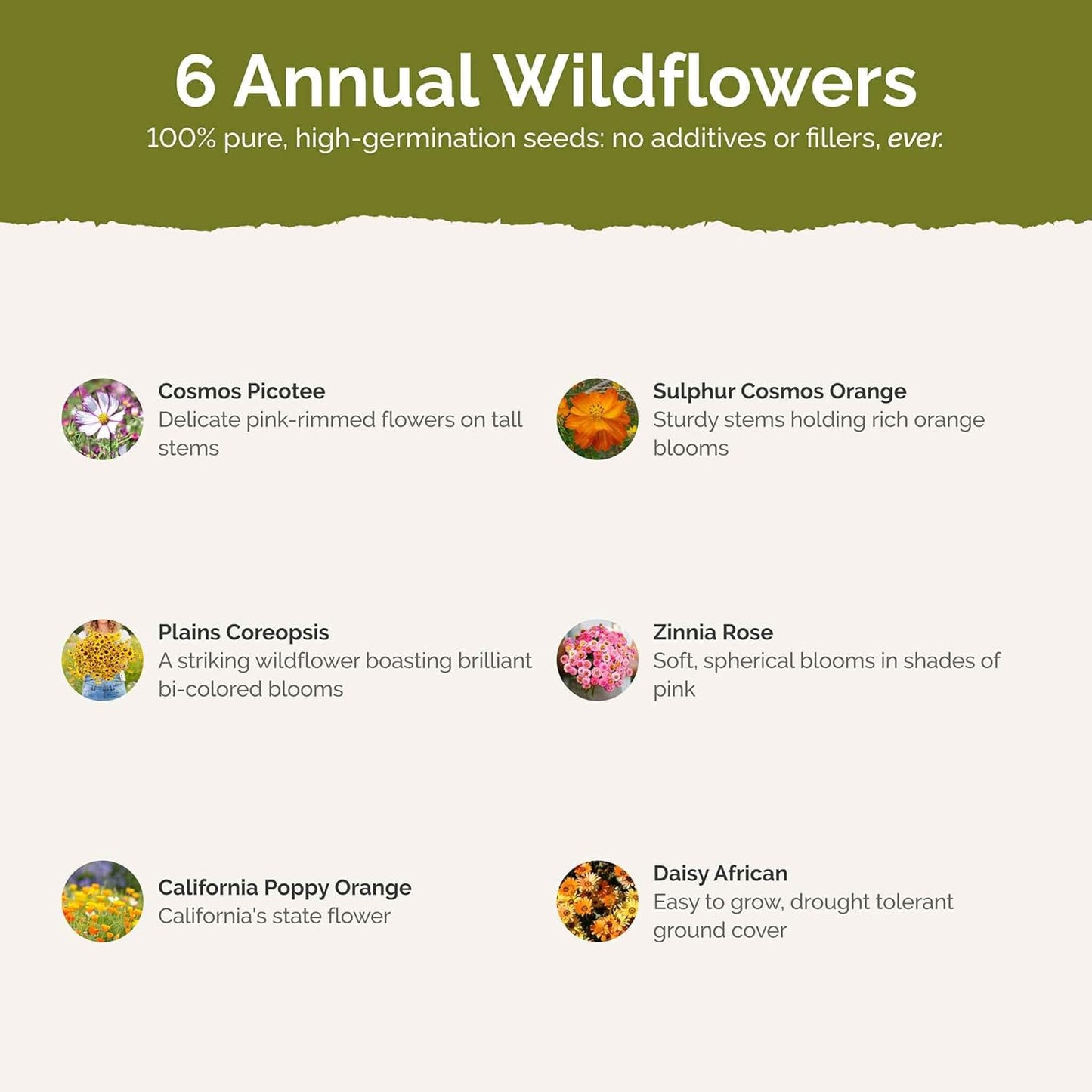 Eden Brothers Orange Sherbet Flower Mixed Seeds for Planting, 5 lb, 2,400,000+ Seeds with Cosmos Picotee, Bright Lights | Attracts Pollinators, Plant in Spring or Fall, Zones 3, 4, 5, 6, 7, 8, 9, 10